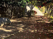 平尾平和児童公園　平尾