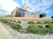 ドルトン東京学園高等部