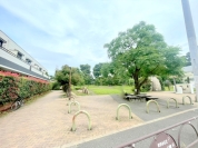 ねこじゃらし公園