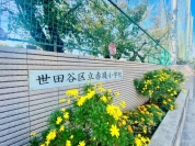世田谷区立赤堤小学校