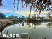 碑文谷公園