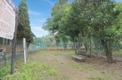 殿ヶ谷公園
