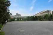 布多公園
