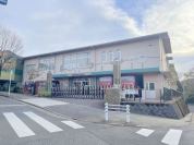 グリーンヒル幼稚園