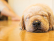 【【床暖房】】