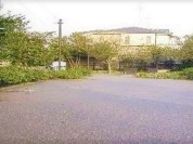 杉並区立つばき緑地