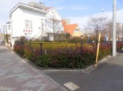 貫井南花木公園