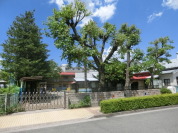 フィッシャー幼稚園