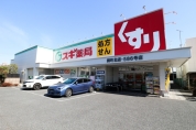 スギ薬局関町北店