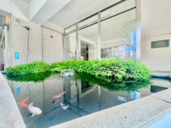 エントランス脇には池があり立派な鯉も！毎日潤いのある暮らしになりそうです。