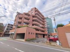 中野区丸山２丁目