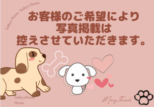 お客様写真 Vol.525