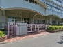 保育園