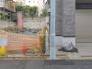 現地土地写真