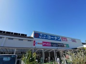 ホームセンターコーナン八王子ぐりーんうぉーく多摩店.jpg