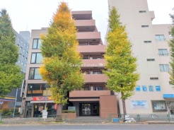 杉並区成田東5丁目