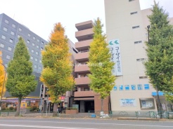 杉並区成田東5丁目