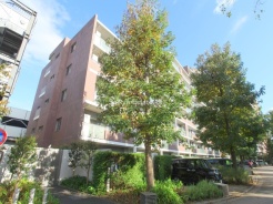 西東京市芝久保町1丁目