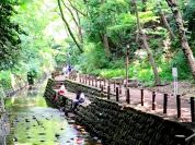 等々力渓谷公園