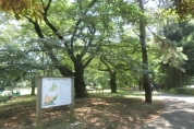 都立野川公園