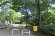 桜堤公園