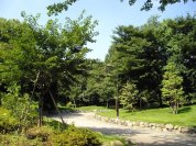 江古田の森公園