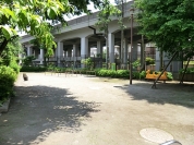 本田児童公園