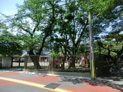 早苗保育園