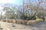 清瀬中央公園