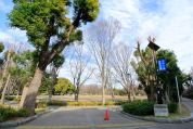 都立赤塚公園