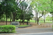 都立光が丘公園