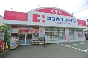 ココカラファイン光が丘店