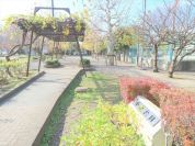 世田谷区立小泉公園