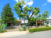 フィッシャー幼稚園